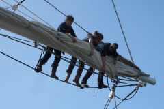 IMG_4733-scaled