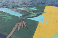 IMG_0007