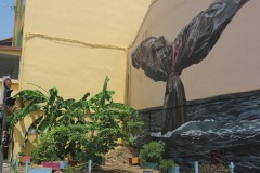 IMG_0039